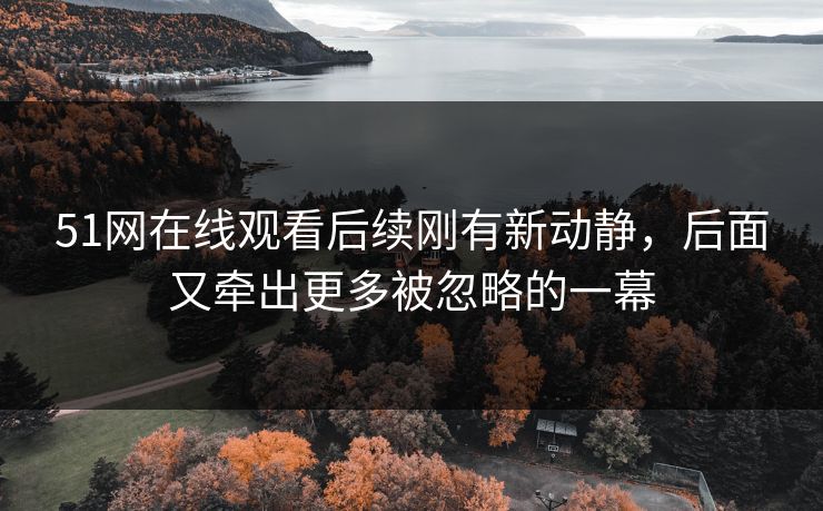 51网在线观看后续刚有新动静,后面又牵出更多被忽略的一幕