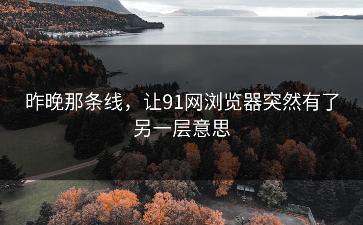 昨晚那条线，让91网浏览器突然有了另一层意思