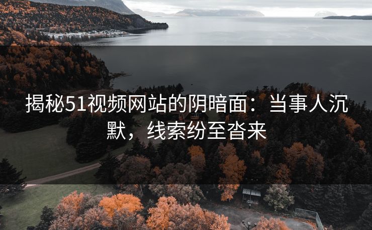揭秘51视频网站的阴暗面:当事人沉默,线索纷至沓来
