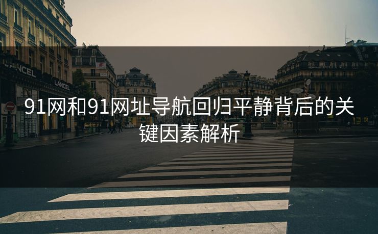 91网和91网址导航回归平静背后的关键因素解析