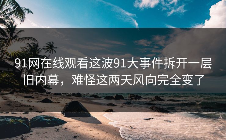 91网在线观看这波91大事件拆开一层旧内幕，难怪这两天风向完全变了