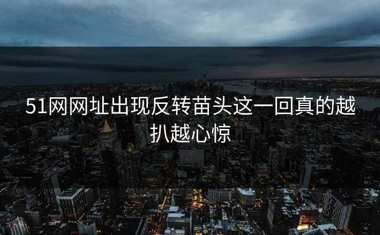 51网网址出现反转苗头这一回真的越扒越心惊