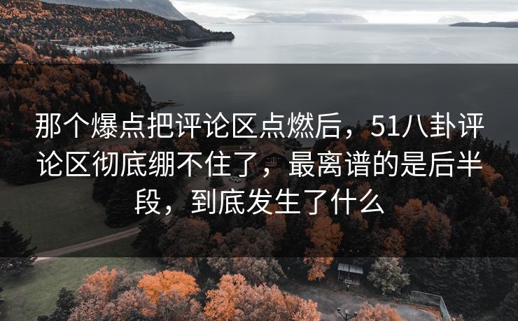 那个爆点把评论区点燃后,51八卦评论区彻底绷不住了,最离谱的是后半段,到底发生了什么